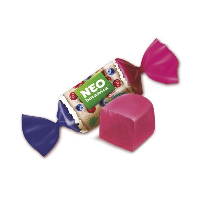Neo sans sucre fruits de bois 100g