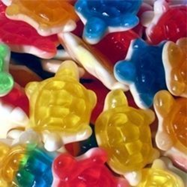 Tortues lisses 100g