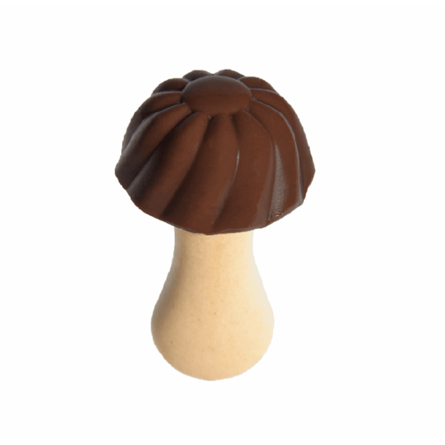 Champignons au chocolat 100g