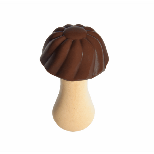 Champignons au chocolat 100g