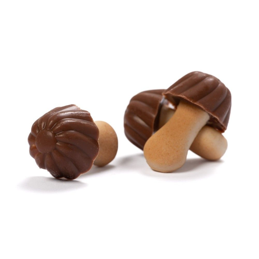 Champignons chocolat et caramel 100g